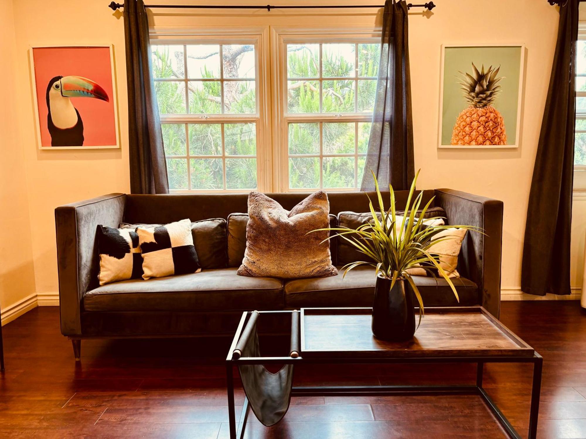 Centrally Located 2 Bed Ucla Apartment 洛杉矶 外观 照片